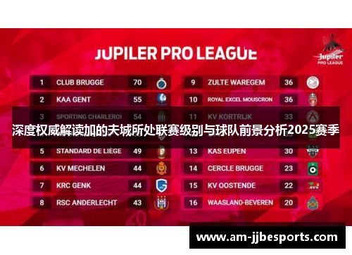 深度权威解读加的夫城所处联赛级别与球队前景分析2025赛季