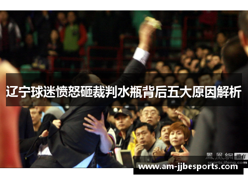辽宁球迷愤怒砸裁判水瓶背后五大原因解析