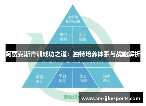 阿贾克斯青训成功之道：独特培养体系与战略解析
