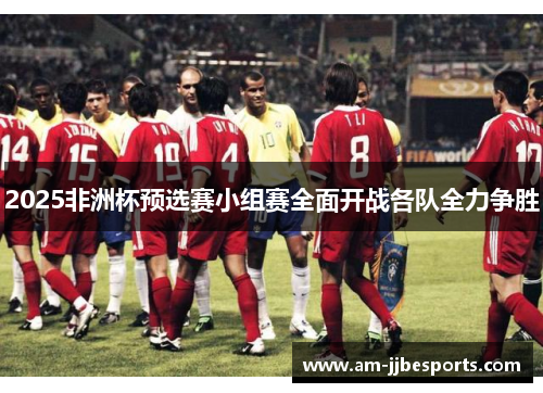 2025非洲杯预选赛小组赛全面开战各队全力争胜