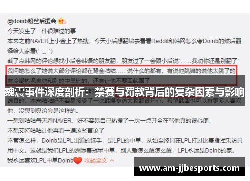 魏震事件深度剖析：禁赛与罚款背后的复杂因素与影响