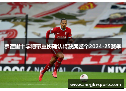 罗德里十字韧带重伤确认将缺席整个2024-25赛季 罗德里十字韧带重伤确认将缺席整个2024-25赛季