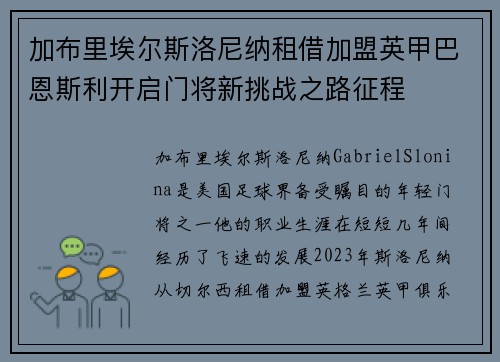 加布里埃尔斯洛尼纳租借加盟英甲巴恩斯利开启门将新挑战之路征程 加布里埃尔斯洛尼纳租借加盟英甲巴恩斯利开启门将新挑战之路征程